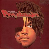 7 Vinyl PM Dawn / Reality used to be a Friend of mine