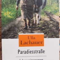 Buch Paradiesstraße Ulla Lachauer Taschenbuch