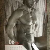 Real Cocks Kalender 2019 # Männer Erotik