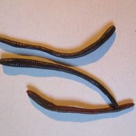 Scherzartikel Regenwurm aus Gummi täuschend echt