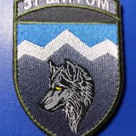 Wolf Aufnäher Patch 8. Gebirgssturmbataillon der 10. Gebirgssturmbrigade Ukraine Army