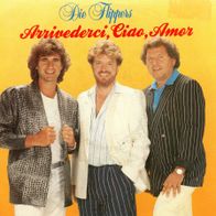 7 Vinyl Die Flippers / Arrivederci Ciao Amor