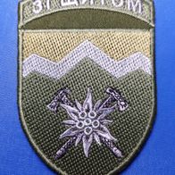 Edelweiß Aufnäher mit Klett Militär Patch 10. Gebirgssturmbrigade Ukraine ARMY 3