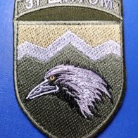 Rabe Aufnäher Patch 109. Gebirgssturmbataillon 10. Gebirgssturmbrigade Ukraine Grün