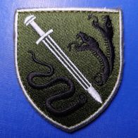 WSP Aufnäher MP Patch 138. Antiterrorist Spezialzentrum Militärpolizei Ukraine Grün