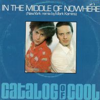 7 Vinyl Catalog of Cool / In the Middle of nowhere ( Remix )