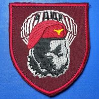 Airborne Aufnäher Patch 4. Luftangriffs-Kompanie 95. Luftlandebrigade Ukraine ARMY