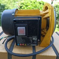 Elektromotor für Trotec Hauswasserwerk
