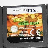 Nintendo DS Spongebob Schlacht um die Vulkaninsel nur Modul