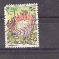 Südafrika Michel Nr. 516 gestempelt (13)
