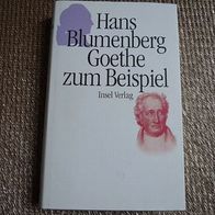 Buch Hans Blumenberg Goethe zum Beispiel