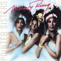 7 Vinyl Pointer Sisters / Mercury Rising