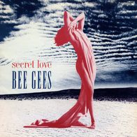 7 Vinyl Bee Gees / Secret Love