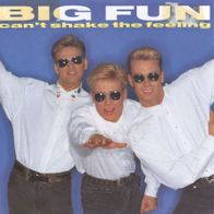 7 Vinyl Big Fun / Can´t shake the Feeling