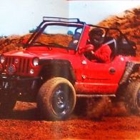 Quadix Buggy 1100 ( Deutschland ) ca2015 , 8 Seiten