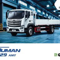 Foton Auman 1829 AMT ( Chile ) 2025? , 2 Seiten