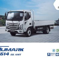 Foton Aumark S614 E6 AMT ( Chile ) 2025? , 2 Seiten