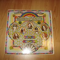 LP Vinyl Schallplatte Lynard Skynard Second helping
