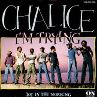 7 Vinyl Chalice / I´m Trying
