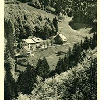 79669 Zell im Wiesental - Mambach Gasthof und Pension > Forsthof < um 1958