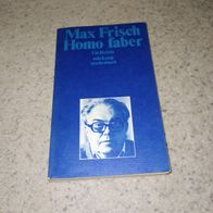 Max Frisch Homo Faber ein Bericht