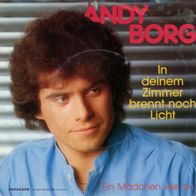 7 Vinyl Andy Borg / In deinem Zimmer brennt noch Licht