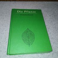 Die Pflanze Sammelband