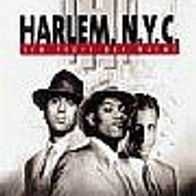 Harlem, N.Y.C  VHS  AndY Garcia+Laurence Fishburne