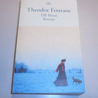Effie Briest von Theodor Fontane TB *