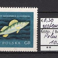 Polen 1958 Edle Fische MiNr. 1051 gestempelt