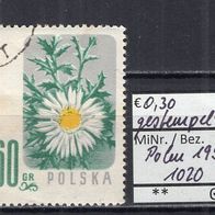 Polen 1957 Geschützte Blumen MiNr. 1020 gestempelt