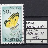 Albanien 1966 Schmetterlinge und Libellen MiNr. 1050 gestempelt