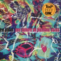 7 Vinyl PM Dawn / Set adrift on Memory Bliss