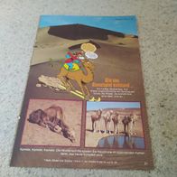 Beilage zu Heft 31 aus 1981