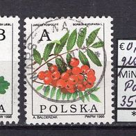 Polen 1995 Freimarken: Laubbaumfrüchte MiNr. 3549 y - 3550 y gestempelt