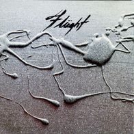 Flüght - Flüght (2000) Mexico minimal prog rare CD ?Opción Sónica M/M
