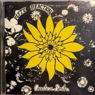 Flyte Reaction - Create A Smile (1995) UK psychedelic CD Splendid Records ?M/M
