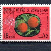 Iran Nr. 626 gestempelt (2224)