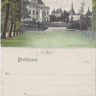 Rostock-Litho-AK 1904 Theaterplatz Montage Erh.1