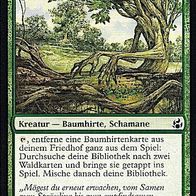 4x "Baumrinden-Schamane", Common aus "Morgenluft", ungespielt - Dt./ Engl
