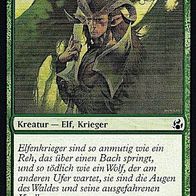 4x "Elfenkrieger", Common aus "Morgenluft", ungespielt - Dt./ Engl