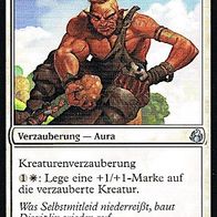 4x "Strenger Tagesablauf", Uncommon aus "Morgenluft", ungespielt - Dt./ Engl