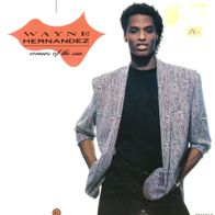 7 Vinyl Wayne Fernandez / Corners of the Sun