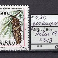 Polen 1990 Freimarken für Postkarten: Nadelbaumzapfen MiNr. 3313 gestempelt