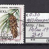 Polen 1990 Freimarken für Postkarten: Nadelbaumzapfen MiNr. 3313 gestempelt -1