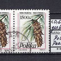 Polen 1991 Freimarken für Postkarten: Nadelbaumzapfen Paar MiNr. 3313 gestempelt