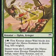 4x "Lockvogel des Matsu-Stamms" Common aus "Meister von Kamigawa", ungespielt
