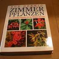 buch zimmerpflanzenbuch ratgeber für das wohnen mit grün