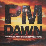 7 Vinyl PM Dawn / A Watcher´s Point of View