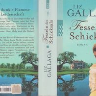 Fesseln des Schicksals (Liz Gallaga)